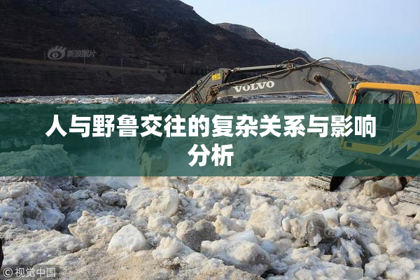 人与野鲁交往的复杂关系与影响分析