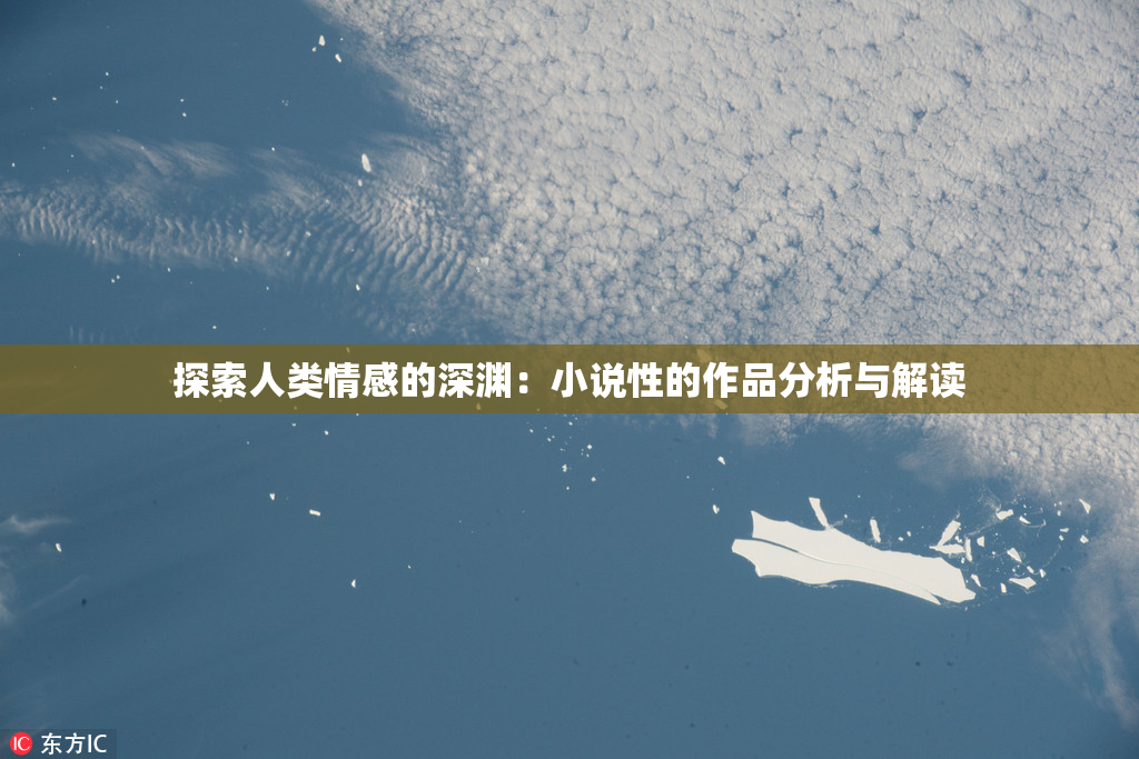 探索人类情感的深渊：小说性的作品分析与解读