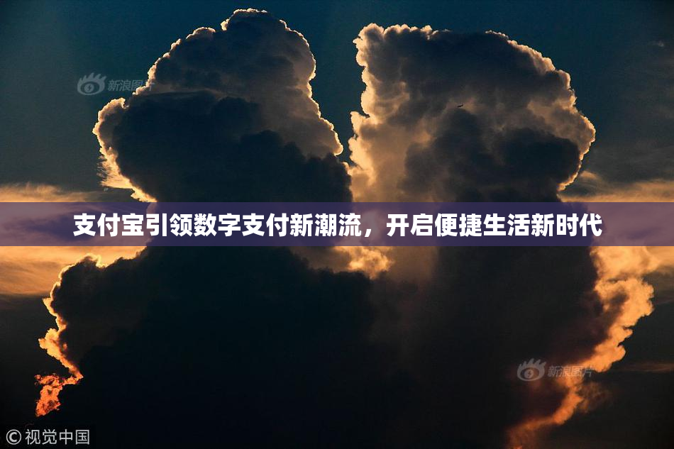 支付宝引领数字支付新潮流，开启便捷生活新时代