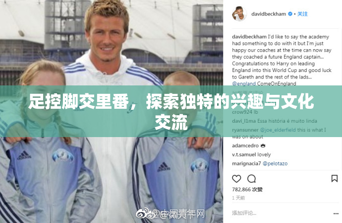 足控脚交里番，探索独特的兴趣与文化交流