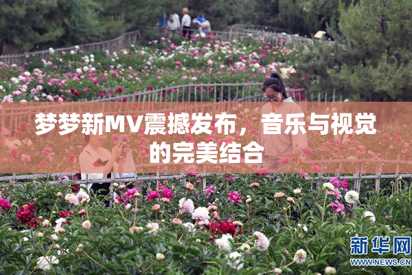 梦梦新MV震撼发布，音乐与视觉的完美结合