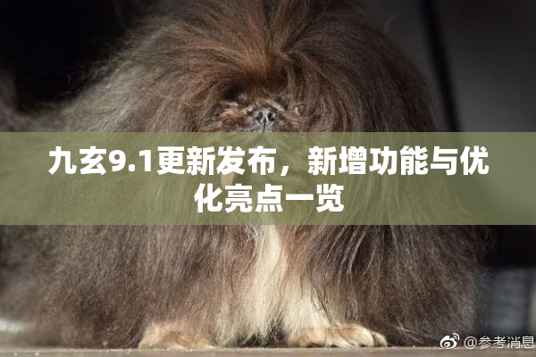 九玄9.1更新发布，新增功能与优化亮点一览