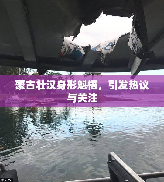 蒙古壮汉身形魁梧，引发热议与关注
