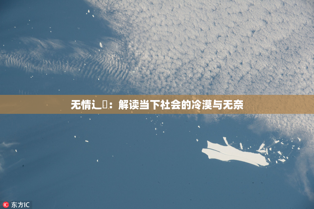 无情辶喿：解读当下社会的冷漠与无奈