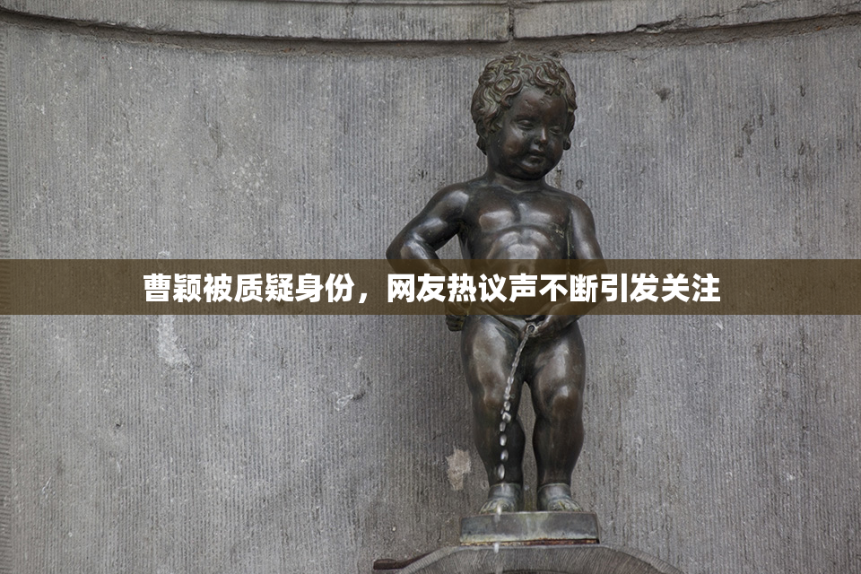 曹颖被质疑身份，网友热议声不断引发关注