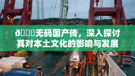 🔞无码国产传，深入探讨其对本土文化的影响与发展