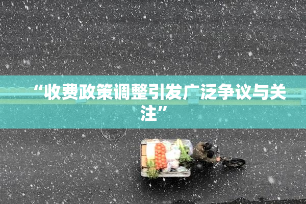 “收费政策调整引发广泛争议与关注”