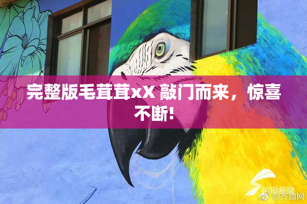 完整版毛茸茸xX 敲门而来，惊喜不断!