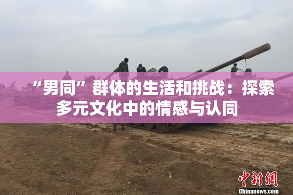 “男同”群体的生活和挑战：探索多元文化中的情感与认同