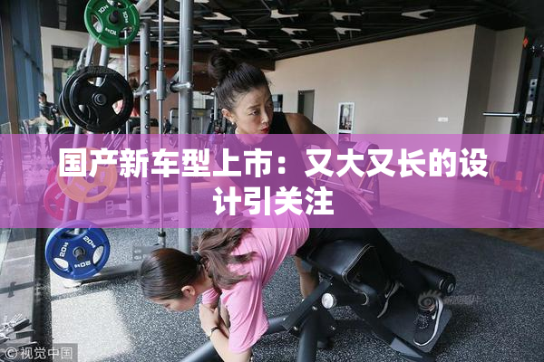 国产新车型上市：又大又长的设计引关注