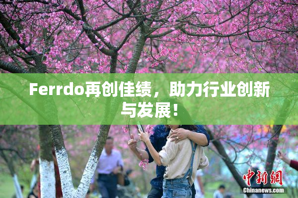 Ferrdo再创佳绩，助力行业创新与发展！