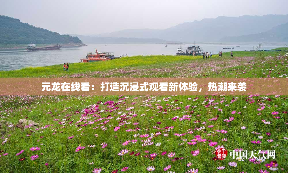 元龙在线看：打造沉浸式观看新体验，热潮来袭