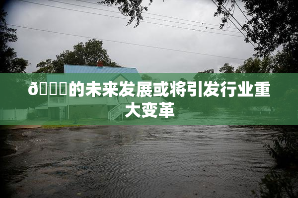 🈚的未来发展或将引发行业重大变革