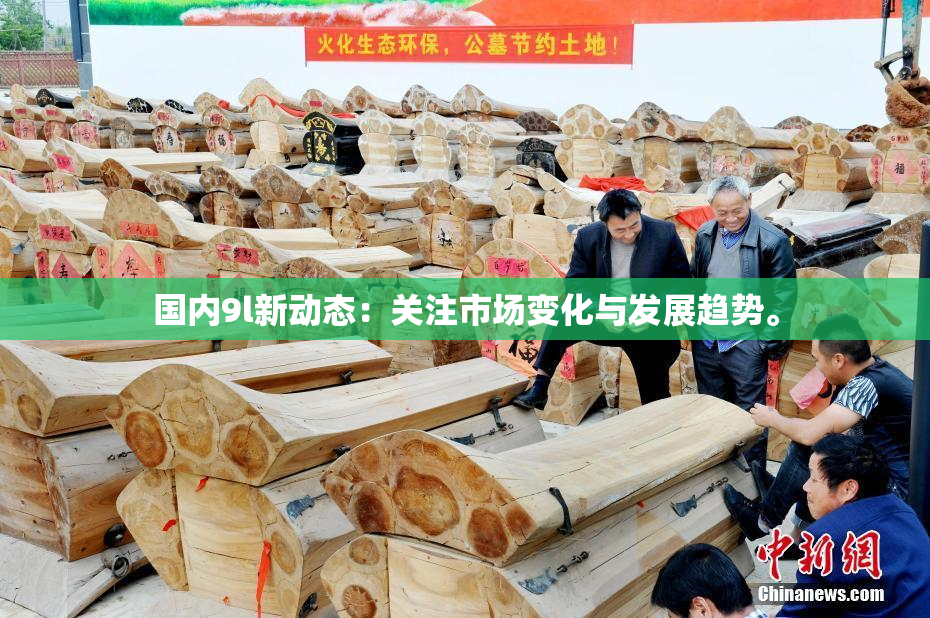 国内9l新动态：关注市场变化与发展趋势。