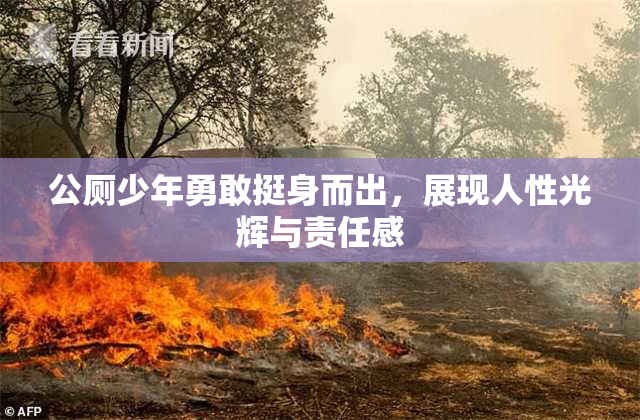 公厕少年勇敢挺身而出，展现人性光辉与责任感