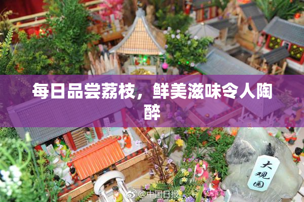 每日品尝荔枝，鲜美滋味令人陶醉