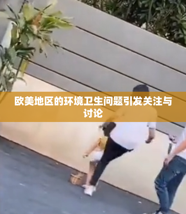 欧美地区的环境卫生问题引发关注与讨论
