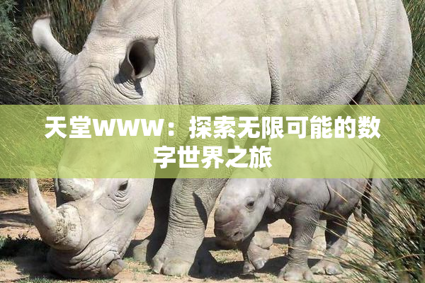 天堂WWW：探索无限可能的数字世界之旅