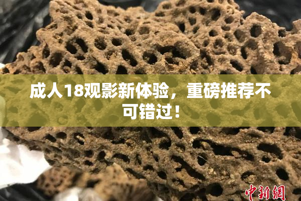 成人18观影新体验，重磅推荐不可错过！