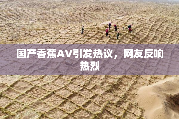 国产香蕉AV引发热议，网友反响热烈