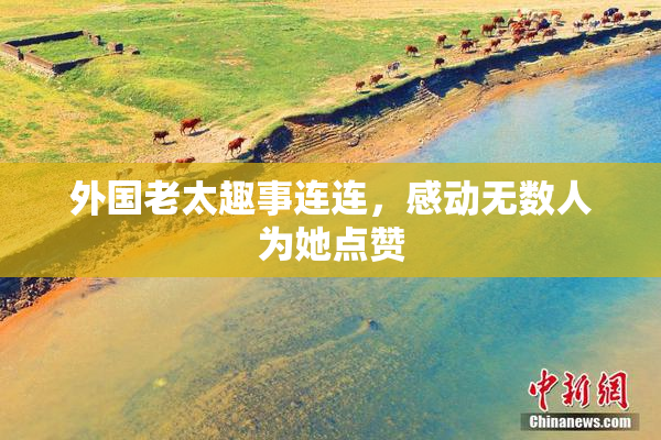 外国老太趣事连连，感动无数人为她点赞