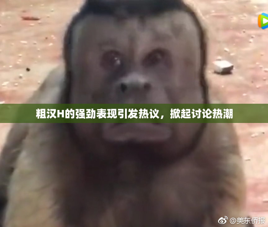 粗汉H的强劲表现引发热议，掀起讨论热潮