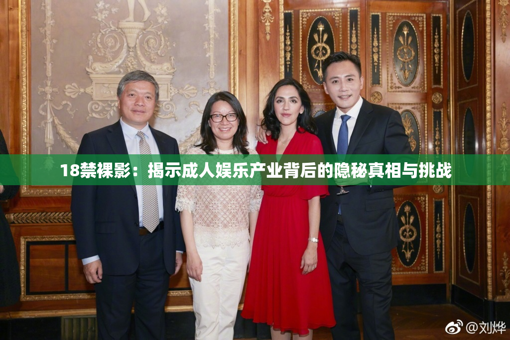 18禁裸影：揭示成人娱乐产业背后的隐秘真相与挑战