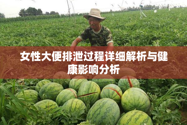 女性大便排泄过程详细解析与健康影响分析