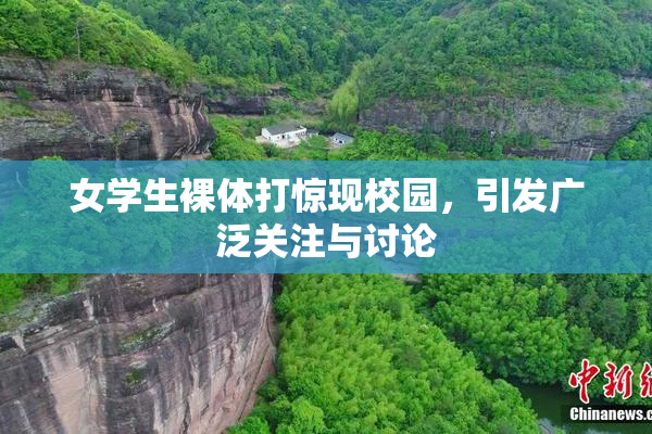 女学生裸体打惊现校园，引发广泛关注与讨论