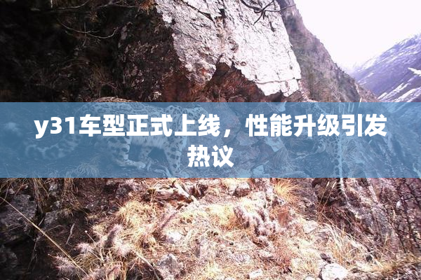 y31车型正式上线，性能升级引发热议