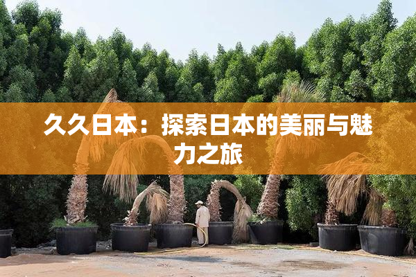 久久日本：探索日本的美丽与魅力之旅