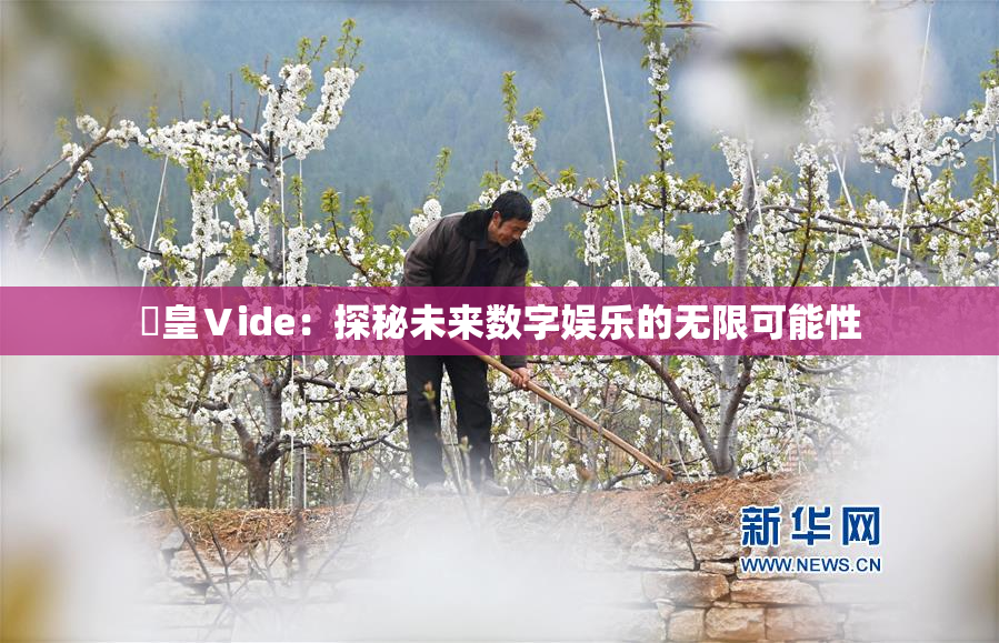 嘼皇Ⅴide：探秘未来数字娱乐的无限可能性
