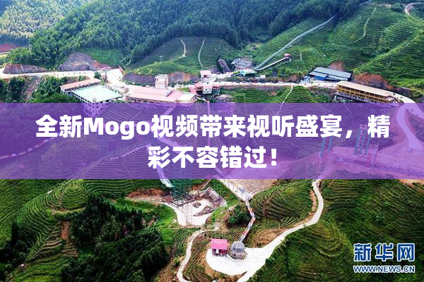 全新Mogo视频带来视听盛宴，精彩不容错过！