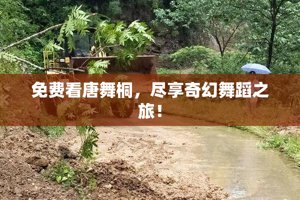 免费看唐舞桐，尽享奇幻舞蹈之旅！