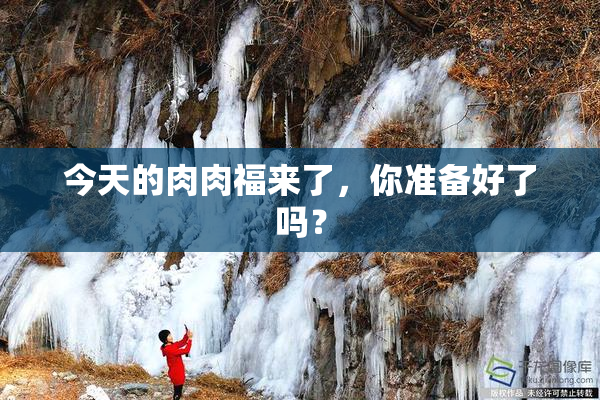 今天的肉肉福来了，你准备好了吗？