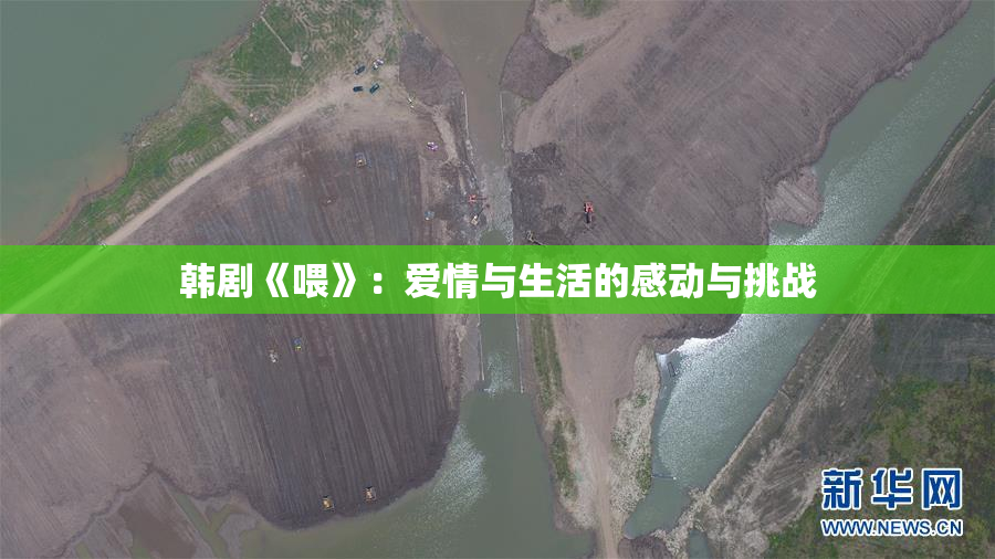 韩剧《喂》：爱情与生活的感动与挑战
