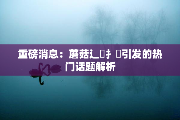重磅消息：蘑菇辶喿扌畐引发的热门话题解析