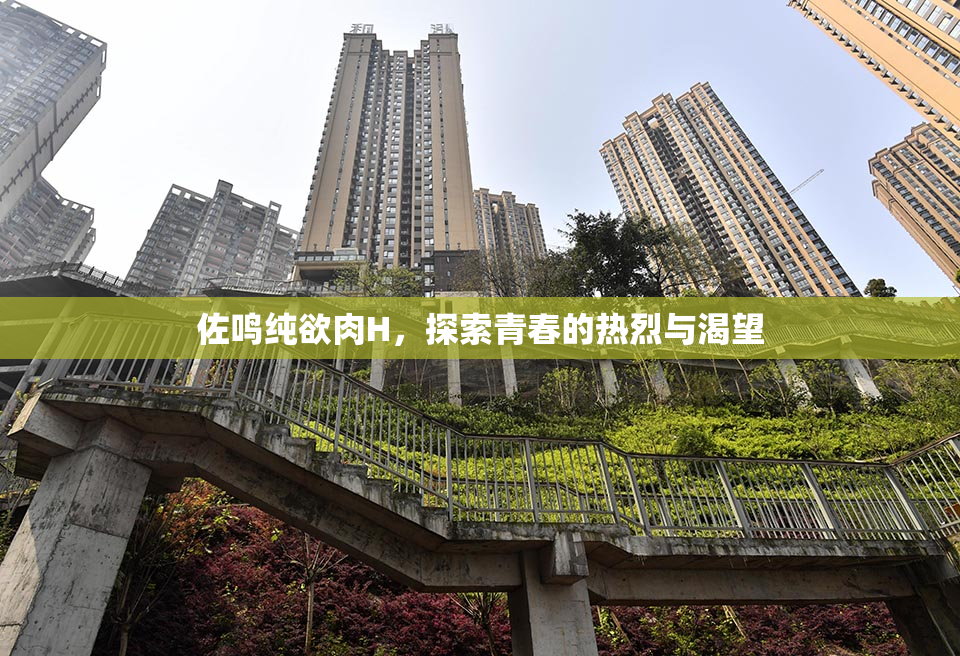 佐鸣纯欲肉H，探索青春的热烈与渴望