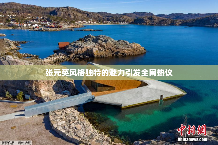 张元英风格独特的魅力引发全网热议