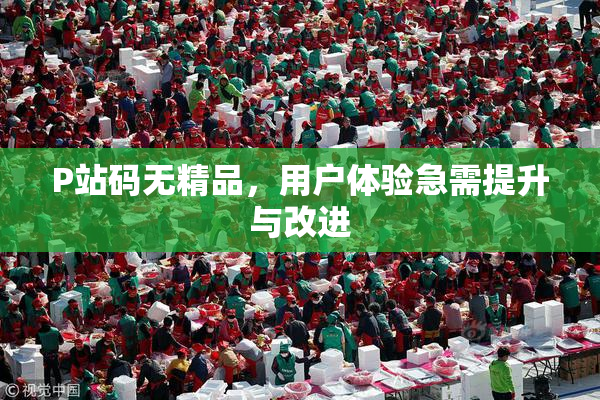 P站码无精品，用户体验急需提升与改进