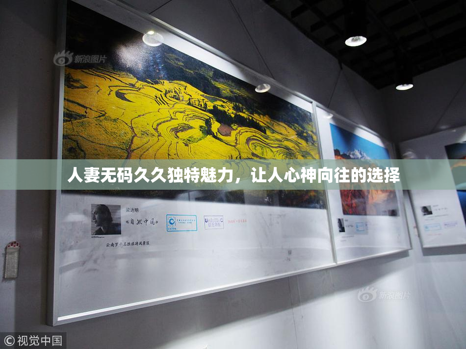 人妻无码久久独特魅力，让人心神向往的选择