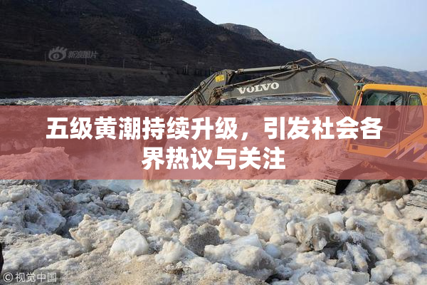 五级黄潮持续升级，引发社会各界热议与关注
