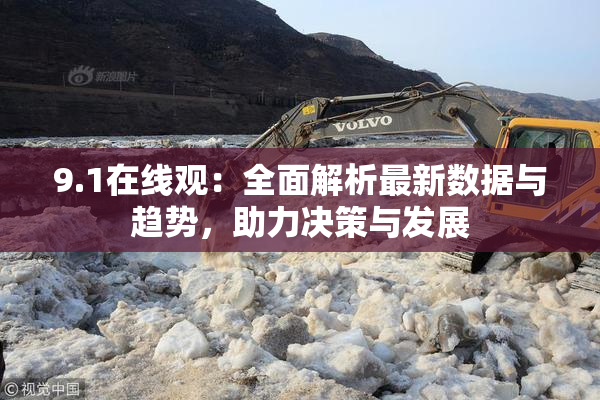 9.1在线观：全面解析最新数据与趋势，助力决策与发展