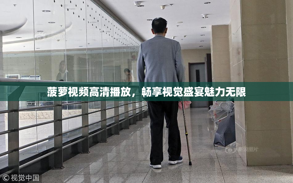 菠萝视频高清播放，畅享视觉盛宴魅力无限