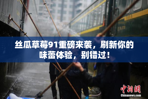 丝瓜草莓91重磅来袭，刷新你的味蕾体验，别错过！