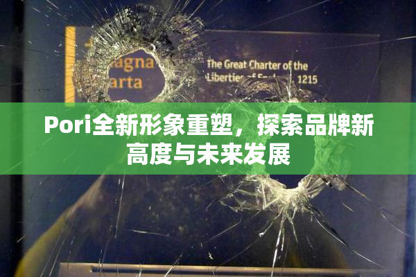Pori全新形象重塑，探索品牌新高度与未来发展