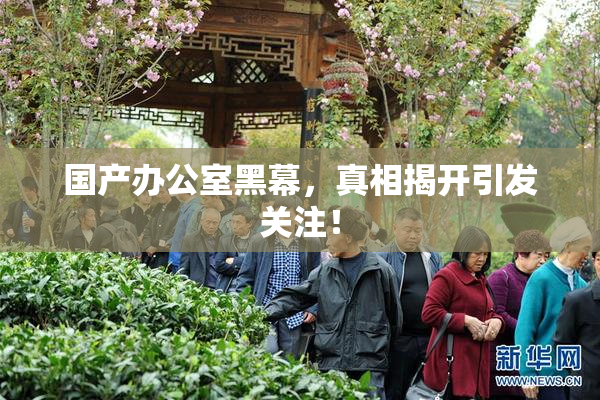 国产办公室黑幕，真相揭开引发关注！