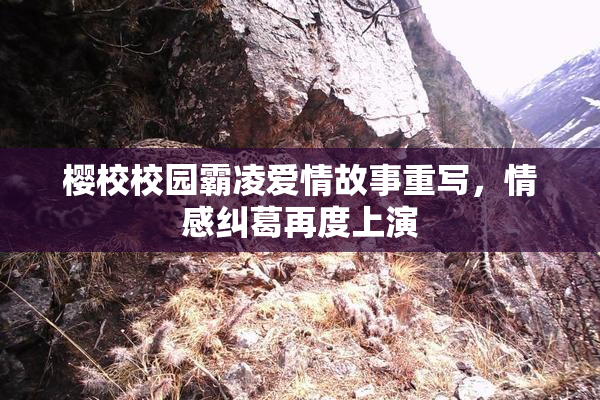 樱校校园霸凌爱情故事重写，情感纠葛再度上演