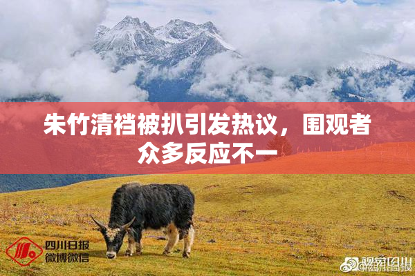 朱竹清裆被扒引发热议，围观者众多反应不一