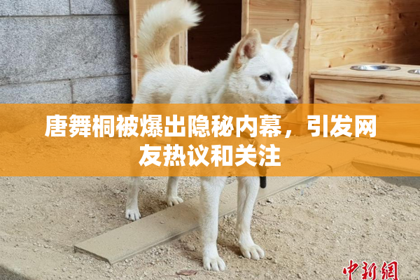 唐舞桐被爆出隐秘内幕，引发网友热议和关注